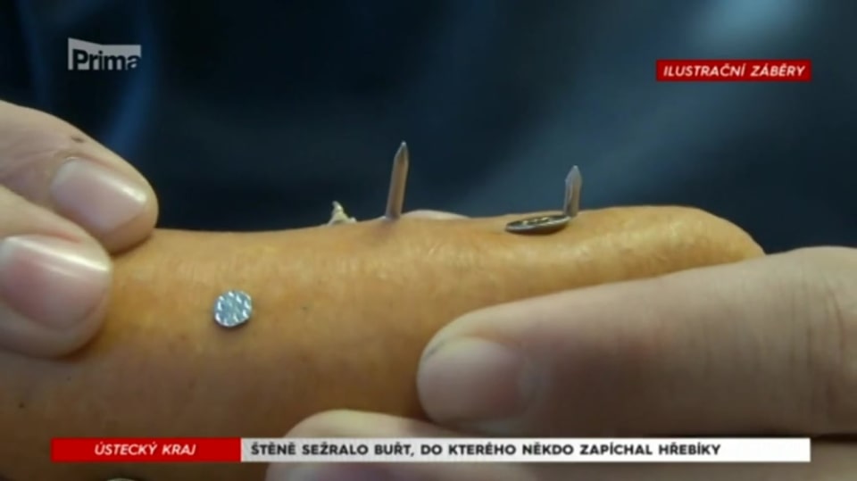 08. 02. 2018 KRIMI: ŠTĚNĚ SEŽRALO BUŘT, DO KTERÉHO NĚKDO ZAPÍCHAL HŘEBÍKY